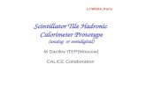 Scintillator Tile Hadronic  Calorimeter Prototype (analog  or semidigital) M.Danilov ITEP(Moscow)