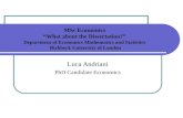 Luca Andriani PhD Candidate Economics