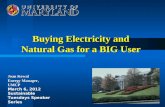 Buying Electricity and Natural Gas for a BIG User