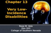 Chapter 13  Very Low-Incidence Disabilities