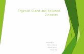 Thyroid Gland and Related Diseases