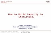 How to Build Capacity in Statistics? Alper GÜCÜMENGİL Head of  International Project