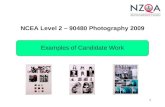 NCEA Level 2 â€“ 90480 Photography 2009