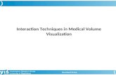 Interaction Techniques in Medical Volume Visualization