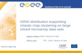 GRID distribution supporting chaotic map clustering on large mixed microarray data sets