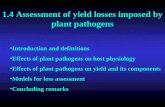 1.4 Assessment of yield losses imposed by plant pathogens