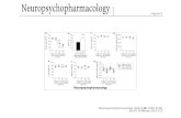 Neuropsychopharmacology  (2013)  38 , 2150-2159; doi:10.1038/npp.2013.112