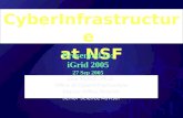 CyberInfrastructure  at NSF