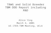 TBWG and Solid Breeder TBM DDD Report including R&D