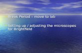 Break Period – move to lab Setting up / adjusting the microscopes for Brightfield