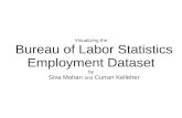 Visualizing the Bureau of Labor Statistics Employment Dataset by Siva Mohan  and  Curran Kelleher