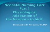 Neonatal Nursing Care Part 1  Physiological Adaptation of  the Newborn to birth
