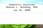 Semantics Overview Sharon L. Bolding, PhD Jan 26, 2008