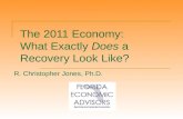 The 2011 Economy: What Exactly  Does  a Recovery Look Like?