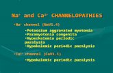 Na +  and Ca 2+  CHANNELOPATHIES
