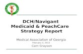 DCH/Navigant  Medicaid & PeachCare   Strategy Report