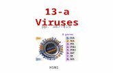 13-a Viruses