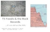 T5 Fossils & the Rock Records