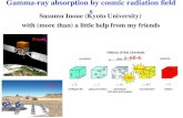 Gamma-ray absorption by cosmic radiation fields