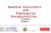 Quantum Glassiness  and Topological Overprotection