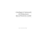 Intelligent Network Architecture BZUPAGES.COM