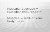 Muscular strength  = Muscular endurance = Muscles = 40% of your body mass