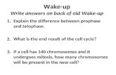 Wake-up Write answers on back of old Wake-up