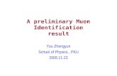 A preliminary Muon Identification result