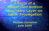 Effects of a Suspended Bottom Boundary Layer on Sonar Propagation
