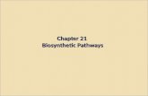 Chapter 21  Biosynthetic Pathways