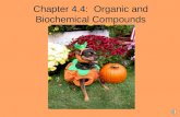 Chapter 4.4:  Organic and Biochemical Compounds