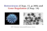 Retroviruses  (Chap. 15, p.308) and  Gene Regulation  (Chap. 14)