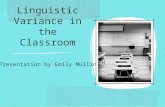 Linguistic Variance in the Classroom