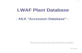 LWAF Plant Database