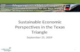 Sustainable Economic Perspectives in the Texas Triangle