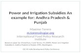 Power and Irrigation Subsidies  An example for: Andhra  Pradesh & Punjab