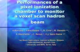 Performances of a pixel ionization chamber to monitor a voxel scan hadron beam
