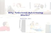 Why Television Advertising Works?  September, 2011