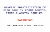 GENETIC IDENTIFICATION OF FISH EGGS IN FORMALDEHYDE-FIXED PLANKTON SAMPLES MARINEGGS