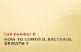 How to control bacterial growth ?