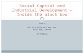 Social Capital and Industrial Development – Inside the black box