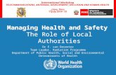 Managing Health and Safety  The Role of Local Authorities