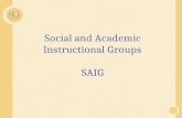 Social and Academic Instructional Groups SAIG