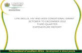 LIFE SKILLS, HIV AND AIDS CONDITIONAL GRANT 0CTOBER TO DECEMBER 2010 THIRD QUARTER