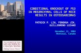 CONDITIONAL KNOCKOUT OF P53 IN MESENCHYMAL CELLS OF MICE RESULTS IN OSTEOSARCOMAS