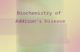 Biochemistry of  Addison’s Disease