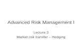 Advanced Risk Management I