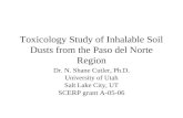 Toxicology Study of Inhalable Soil Dusts from the Paso del Norte Region