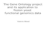 The Gene Ontology project and its application to  fission yeast  functional genomics data