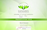 SANABEL 6 th  Annual Conference